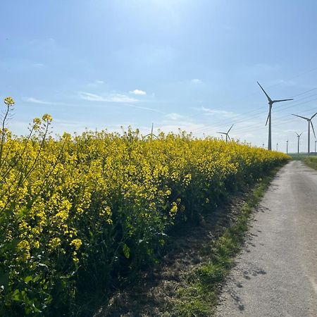 Kaisers Ferienhaus Kaifenheim Екстер'єр фото